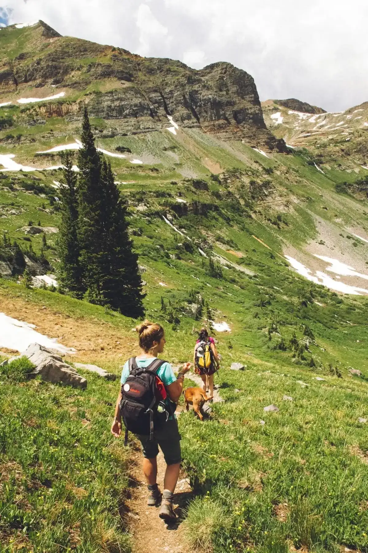 Two hikers with a dog on an alpine meadow trail